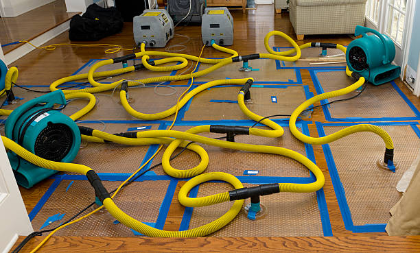 Professional Water Damage Restoration technician working in Rock Point, AZ