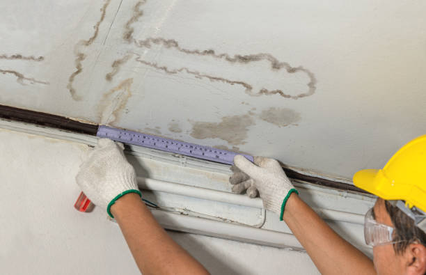 Affordable Water Damage Restoration solutions in Rock Point, AZ